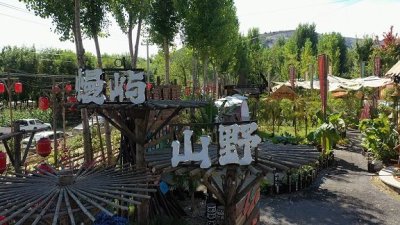 慢屿山野露营地 - 场地环境